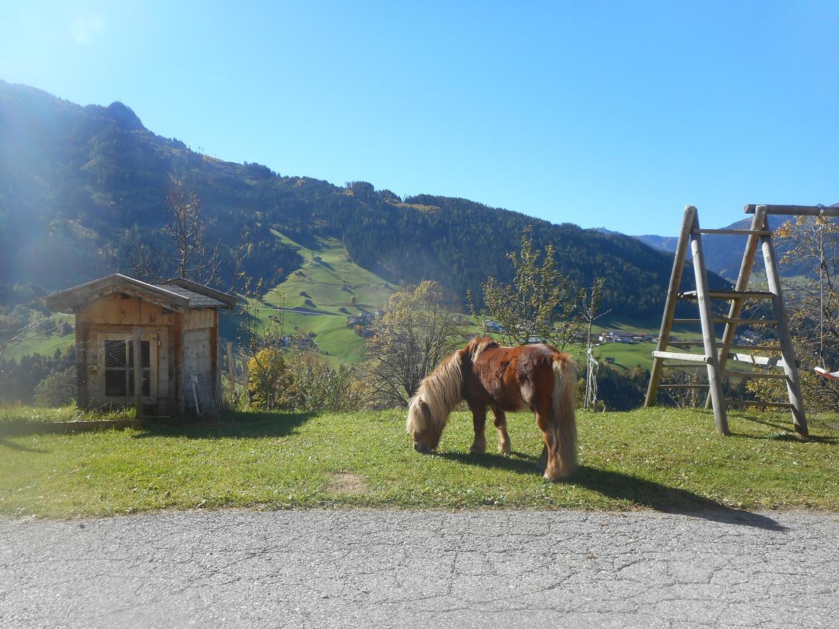 Stockhof Apartment Zell am Ziller Ngoại thất bức ảnh