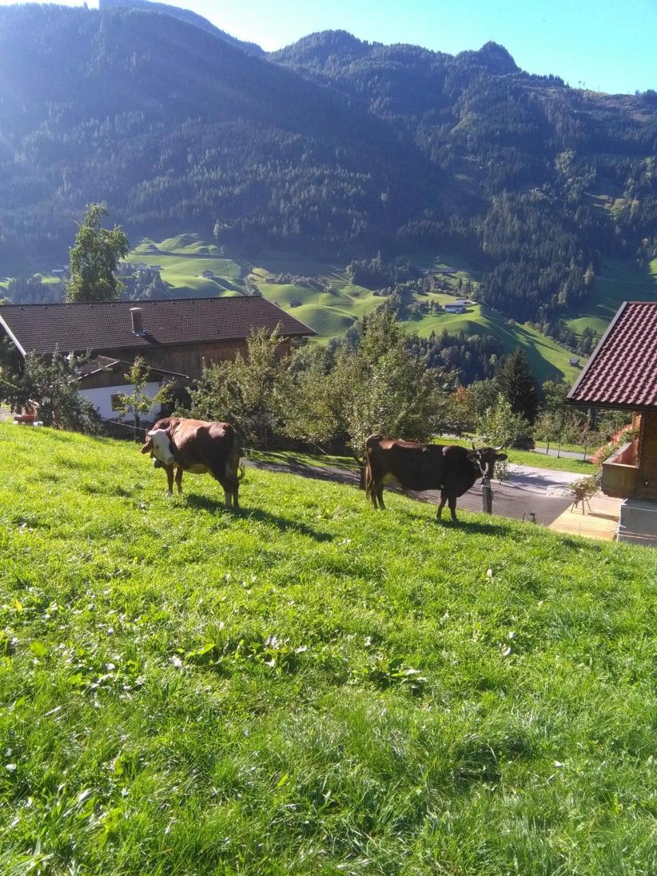 Stockhof Apartment Zell am Ziller Ngoại thất bức ảnh